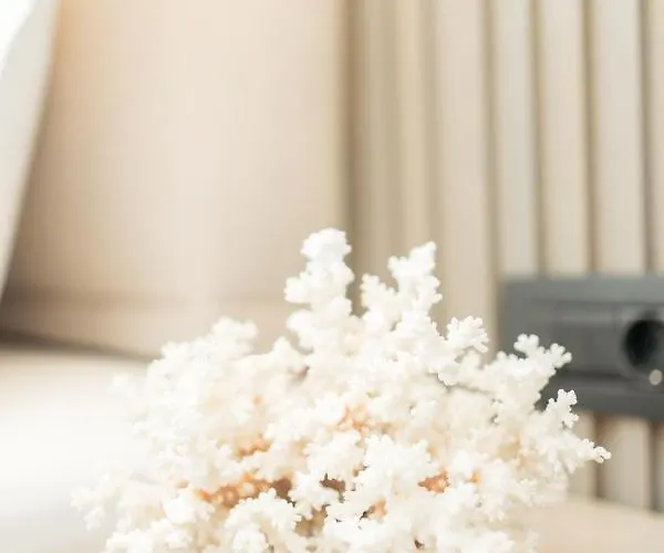 Bodrum Astrid Гюмюшлюк