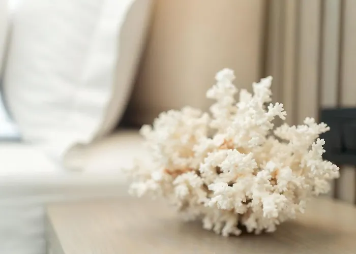 מלון Bodrum Astrid גומושלוק