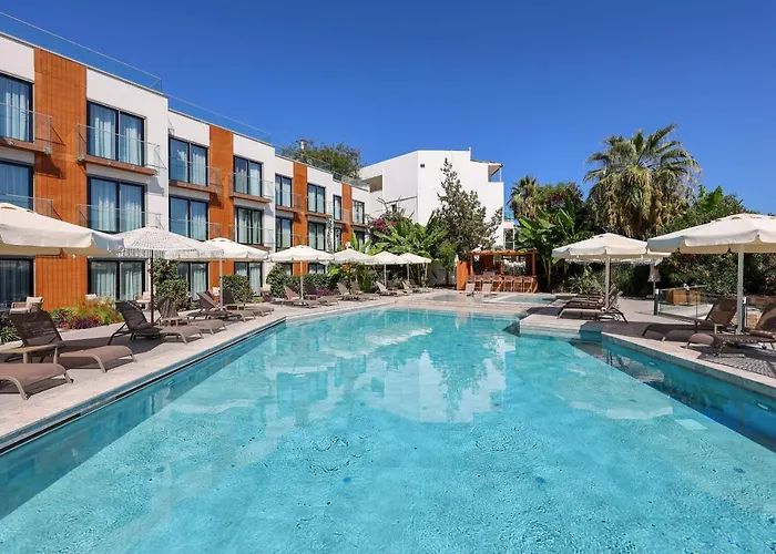 Bodrum Astrid מלון *